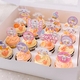 Cinnamoroll Theme (16pcs)