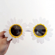 Fun Party Sun Glasses Fun Party Sun Glasses