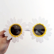 Fun Party Sun Glasses